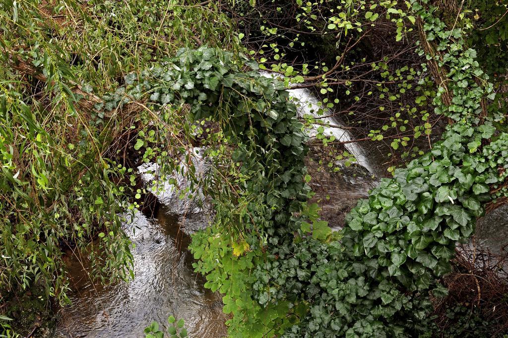Moulin De Cornevis Bed And Breakfast プリヴァ 部屋 写真